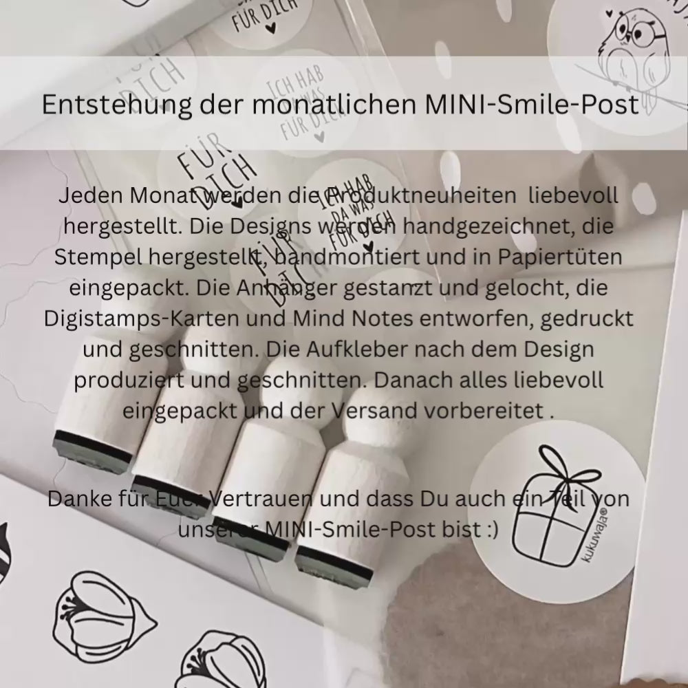 kukuwaja Mini Abobox - Monatliche kreative MINI-SMILE-Post